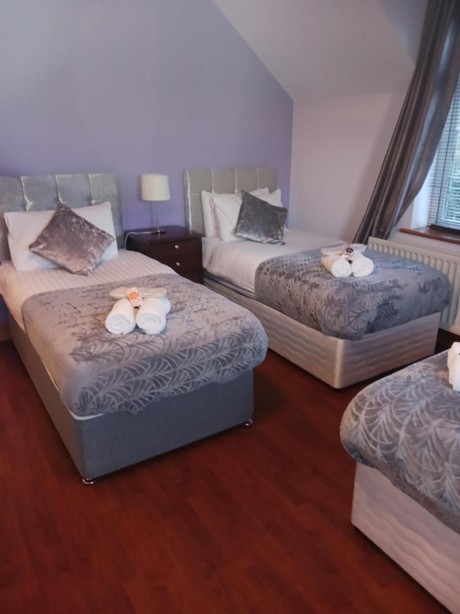 Tullynacrunat Lodge 캐슬블레이니 외부 사진